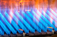 Fossebridge gas fired boilers
